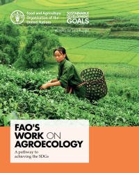 Image of FAO’s work on agroecology
