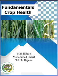 Image of Fundamentals Crop Health